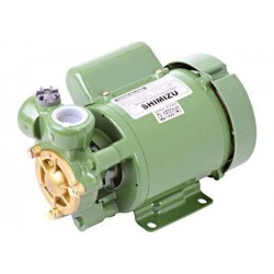 Shimizu PN125BIT WATER PUMP