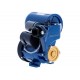Panasonic GA200JAKP SHALLOW WATER PUMP