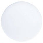 Philips ZBH145 FRG FROSTED GLASS 147 CFL Recessed Accessories  Lampu Plafon 0.19kg 910403630252