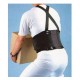 Krisbow KW1000043 Back Support Size-S 28in-32in