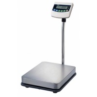 CAS BW-150 Platform Scale 