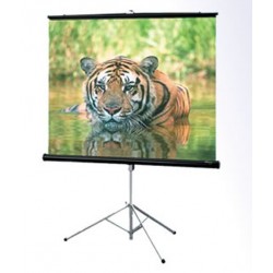 Screenview TSSV1515L Tripod Screen 150x150 cm / 60"x60"