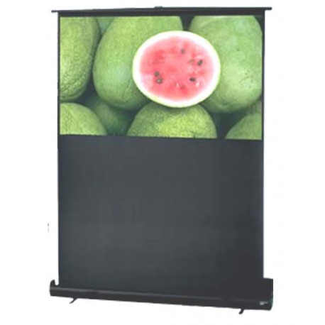 ScreenView PSSV80"L Portable Screen 200x170 cm / 80" Diagonal