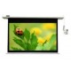 Clevo Motorized Screen Seamless 70 Inch x 70 Inch [178cmx178cm]