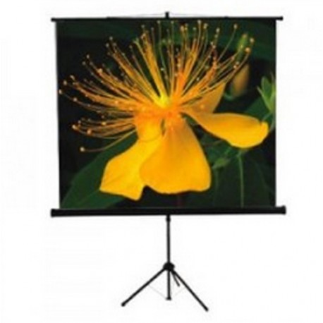 Clevo Tripod Screen Seamless 84 Inch x 84 Inch [213cmx213cm]