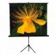 Clevo Tripod Screen Seamless 96 Inch x 96 Inch [224cmx224cm]