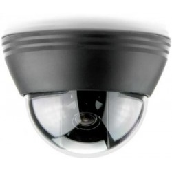 Avtech AVC442A 1/3 inch H.R. Color CCD Dome Camera