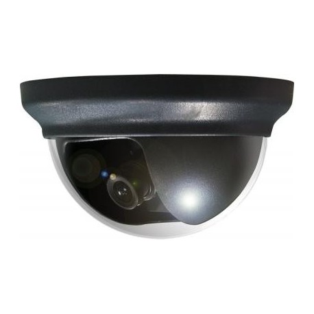 Avtech KPC132D 1/3 inch Color CCD Dome Camera