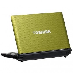 Toshiba Netbook NB520-1069G Intel Atom Dos Striking Lime Green