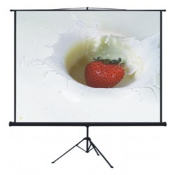 Datalite Tripod Screen Projector 70 inchx70 inch