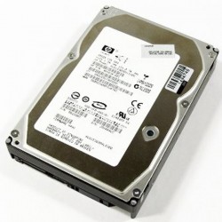 Hitachi HUS153030VLS300 300GB SAS 15000 RPM Hardisk