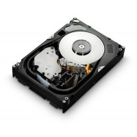 Hitachi HUS156060VLS600 600GB SAS 15000 RPM Hardisk