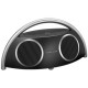 Harman Kardon Go Play Wireless Bluetooth Speaker