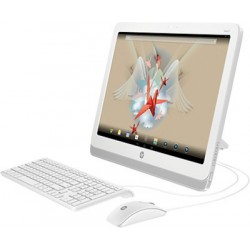 HP SLATE 21-k100 AIO PC