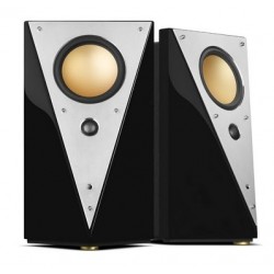  Swans Hivi T200C Professional Active Crossover 2.0 Speaker