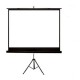 I-Bright BTR84 Tripod Screen 84" 213 x 213 CM 