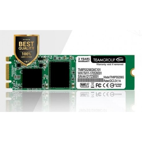 Team M.2 LITE 2280 256GB SATA SSD