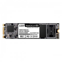 Team MS30 M.2 2280 128GB SATA SSD