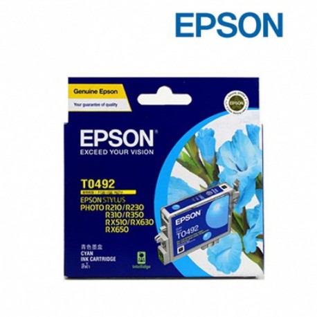 Epson C13T049290 Cyan Ink Cartridge