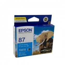 Epson C13T087290 Cyan Cartridge