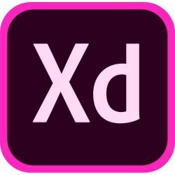 Adobe XD Creative Cloud for Teams 1 Year