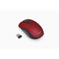 PROLINK PMW6009 Wireless USB Mouse