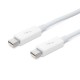 Apple MD862ZM/A Thunderbolt Cable 0.5m