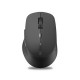 Rapoo M300 Silent Black Mouse Wireless 