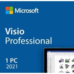 Microsoft Visio Professional 2021 ESD (D87-07606)