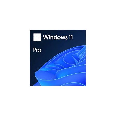 Microsoft Windows Pro 11 32-bit/64-bit ESD Original (FQC-10572)