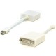 Mini-DisplayPort to DVI Adapter