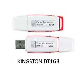 Kingston NE DT1G3-32GB