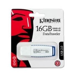 Kingston NE DT1G3-16GB