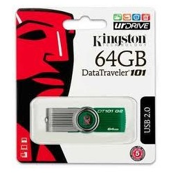 Kingston NE DT1G3-64GB